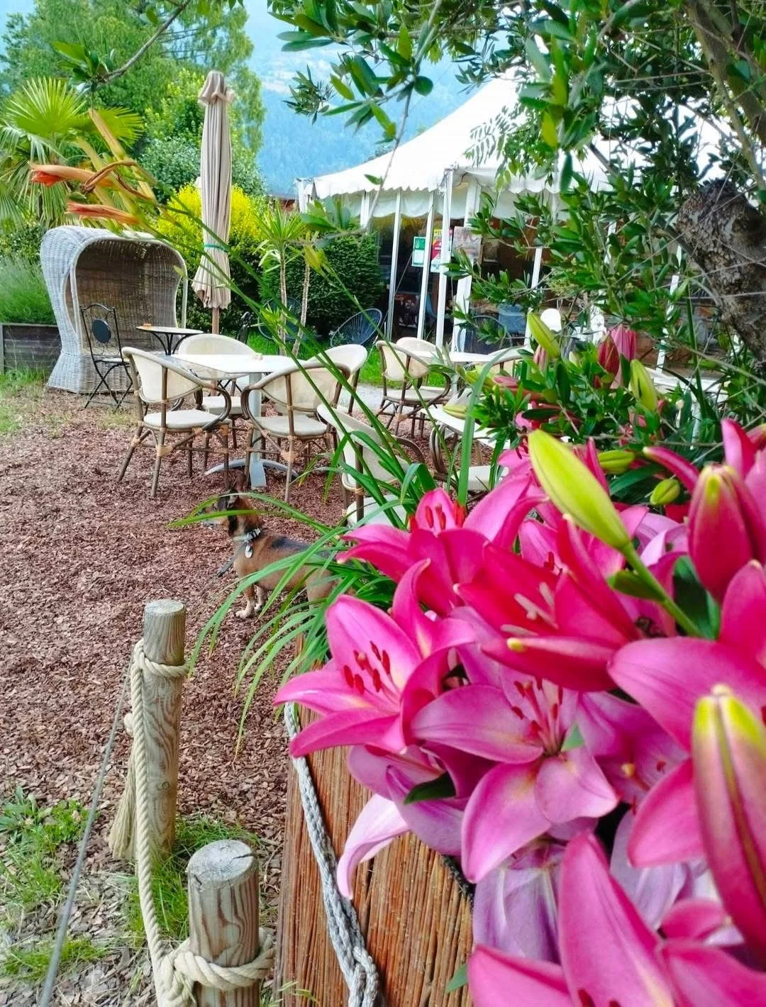 Café Pavillon am See